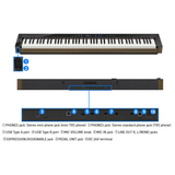 Casio Privia PX-S6000 Slim Portable Digital Piano (Slab Only) for sale - Family Piano Co