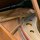 Adam Schaaf 5'5 Satin Walnut Grand Piano for sale in Waukegan, Illinois | Family Piano Co