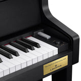 Casio Celviano GP-310 Grand Hybrid Digital Piano for sale in Waukegan, IL - Family Piano