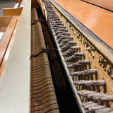 Starck 172921 44" Satin Oak Console Piano for sale in Waukegan, Illinois | Family Piano Co